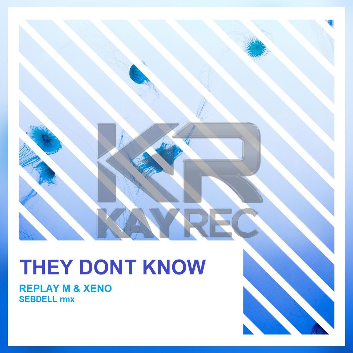 Album cover of They Dont Know