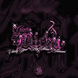 Cover of Gata Michu