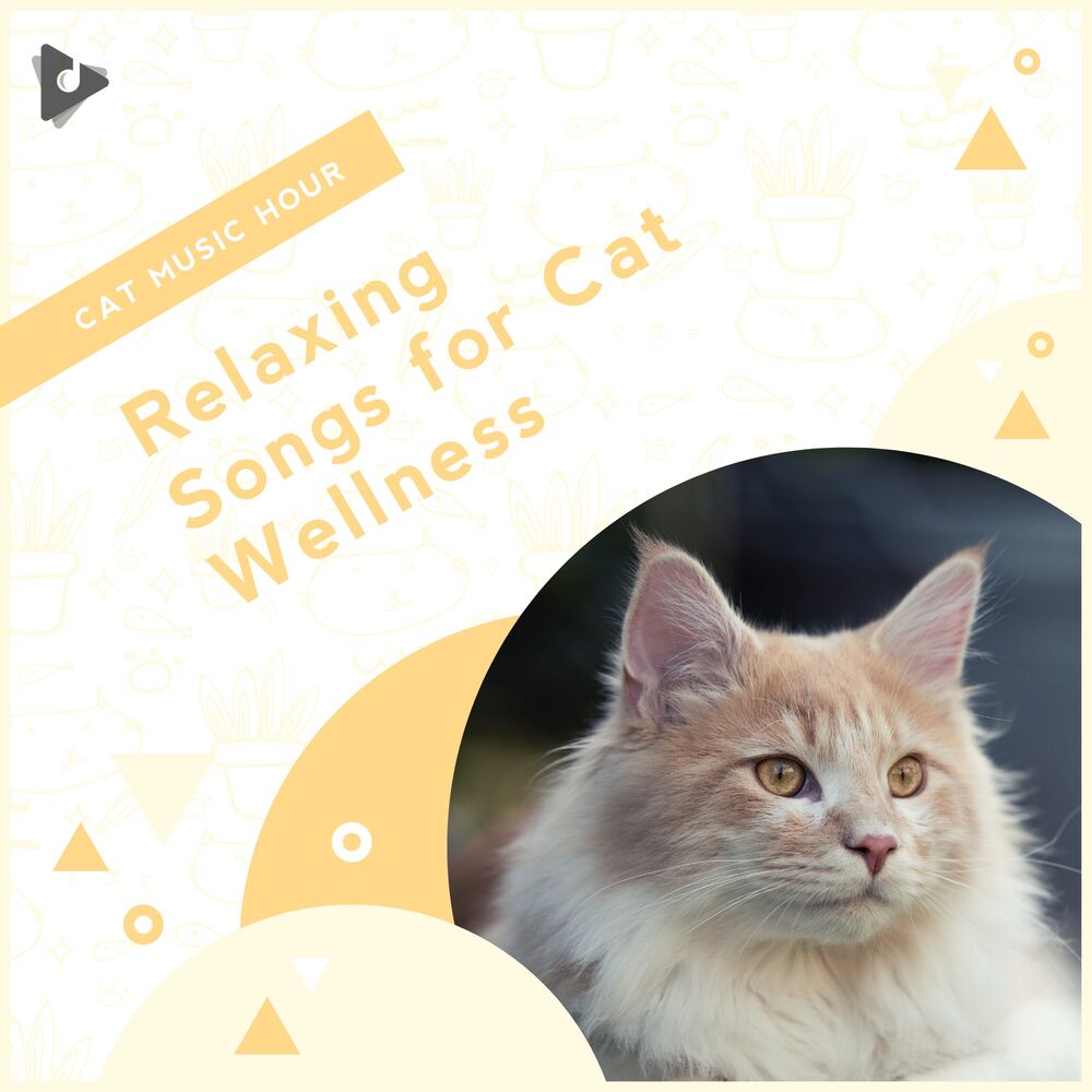 Picture of Relaxing Songs for Cat Wellness