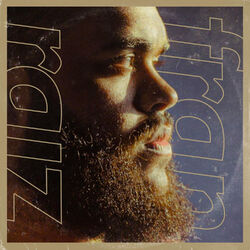 Cover of raiz
