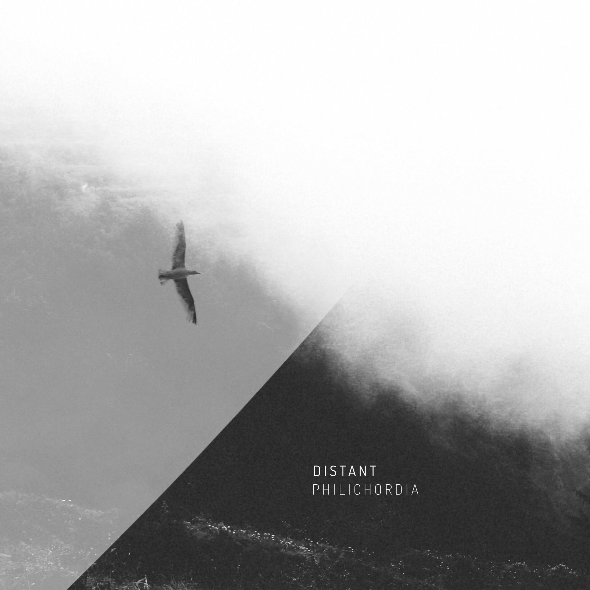 Album cover of Distant