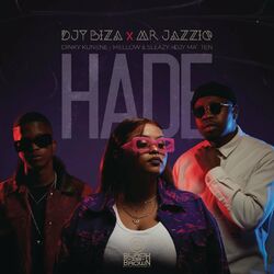 Cover of Hade (feat. Dinky Kunene & Mellow & Sleazy)