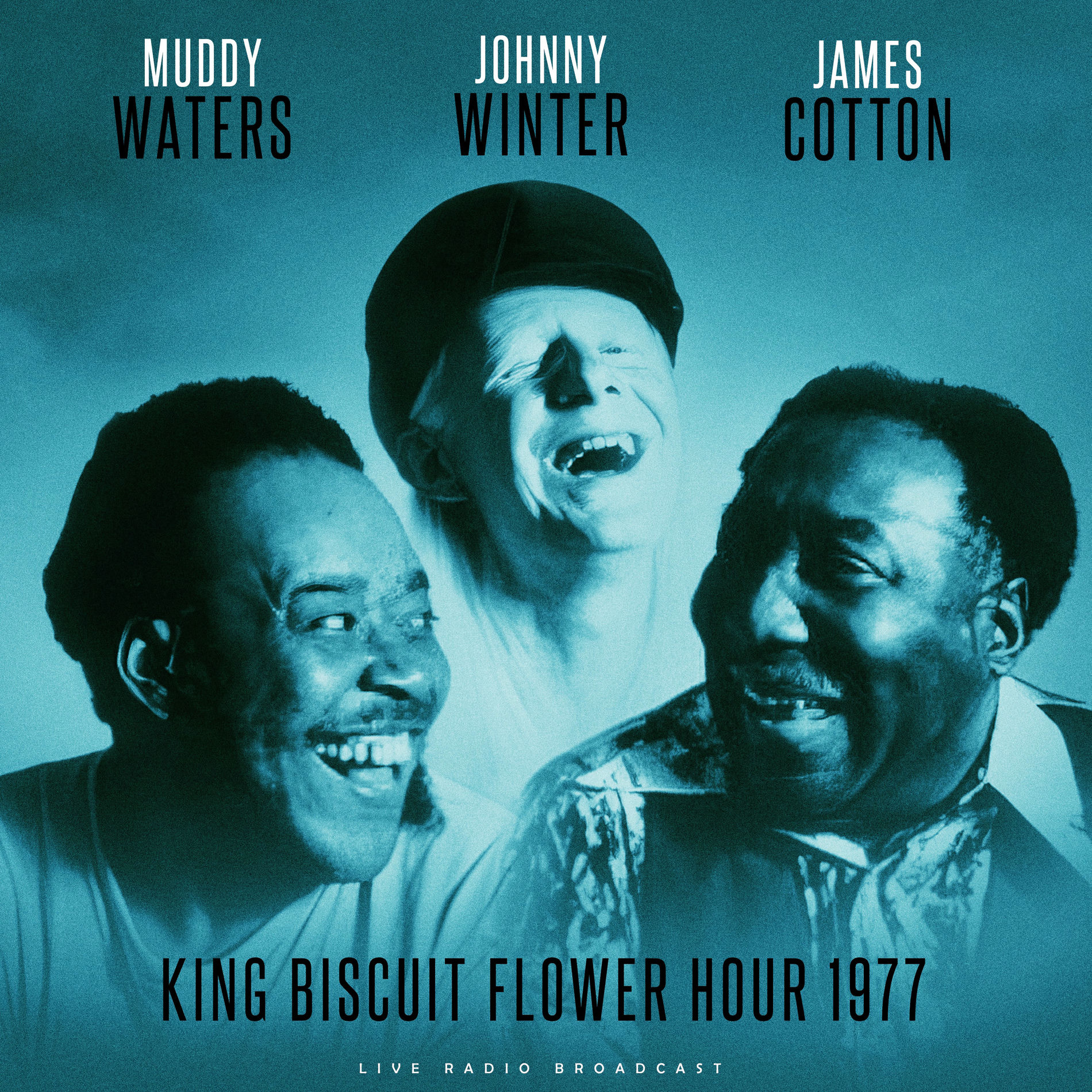 Album cover of King Biscuit Flower Hour 1977 (live)