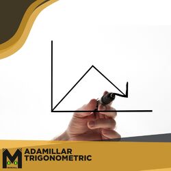 Cover of Trigonometric