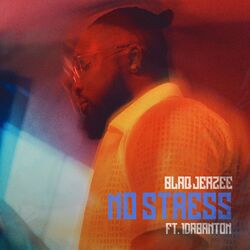 Cover of No Stress