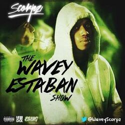 Cover of Wavey Estaban Show