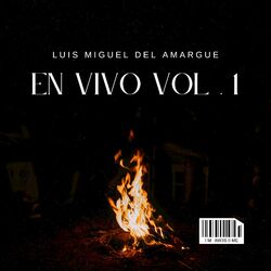 Cover of En Vivo Vol 1