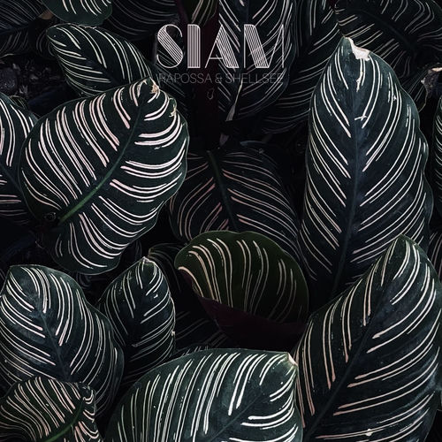 Siam