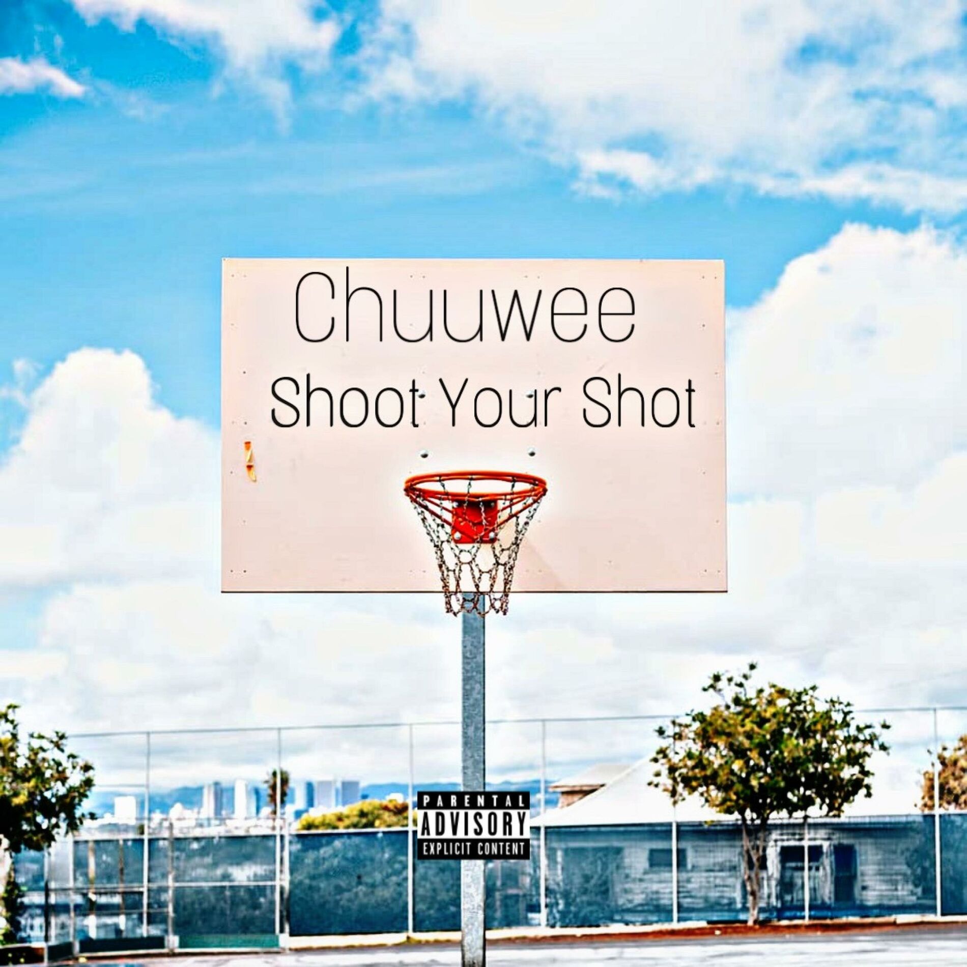 Album cover of Shoot Your Shot