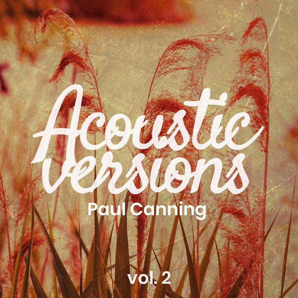 Picture of Acoustic Versions, Vol. 2