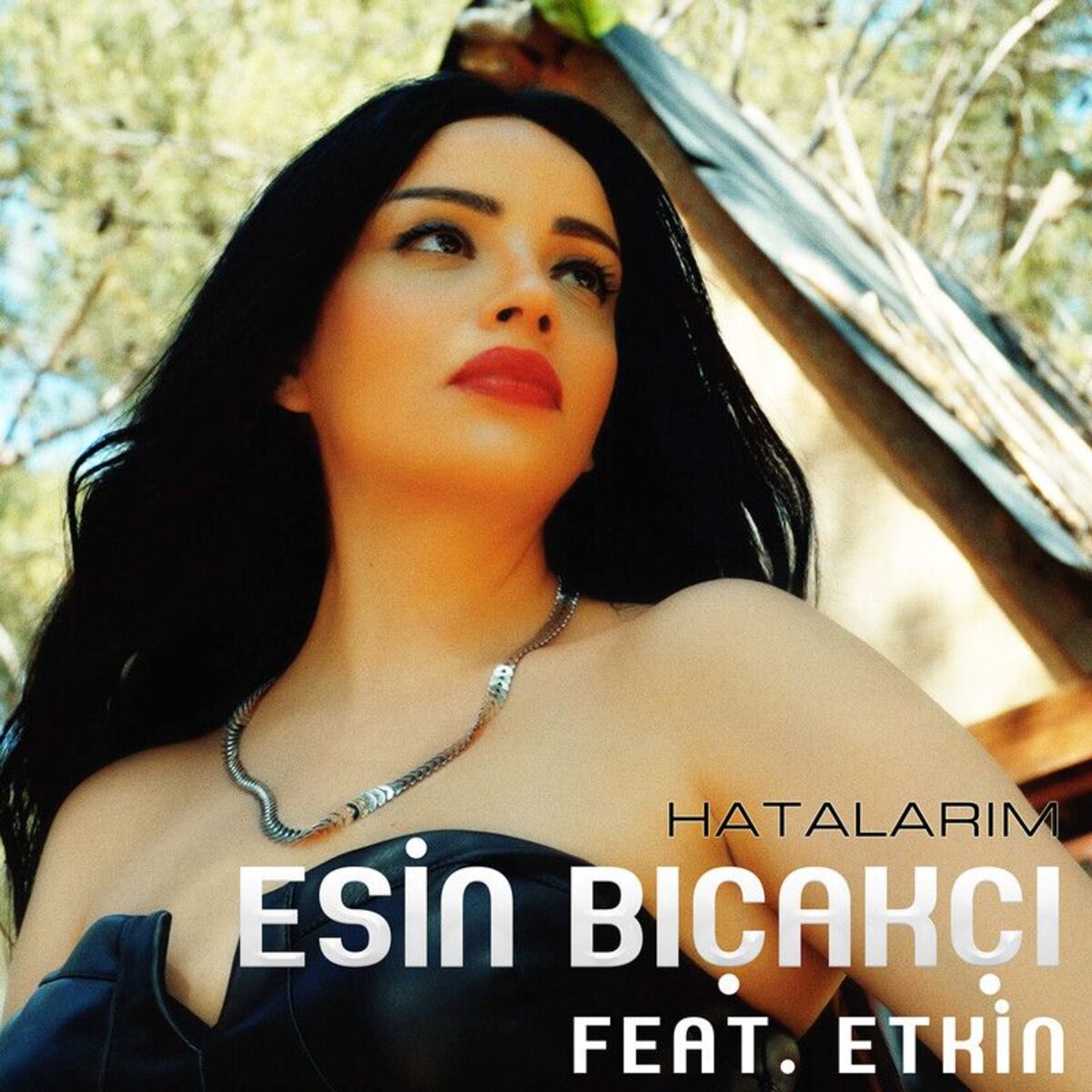Album cover of Hatalarım