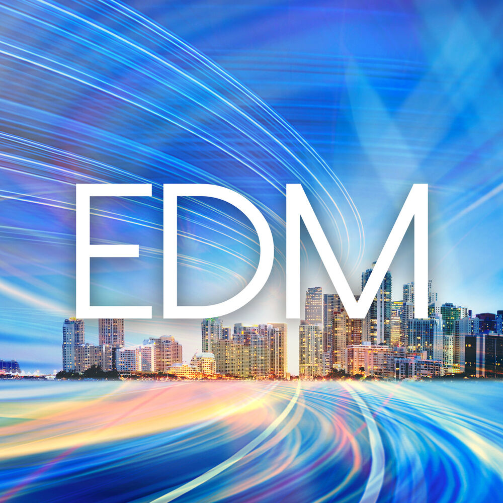 Picture of EDM / House / Techno / 2015