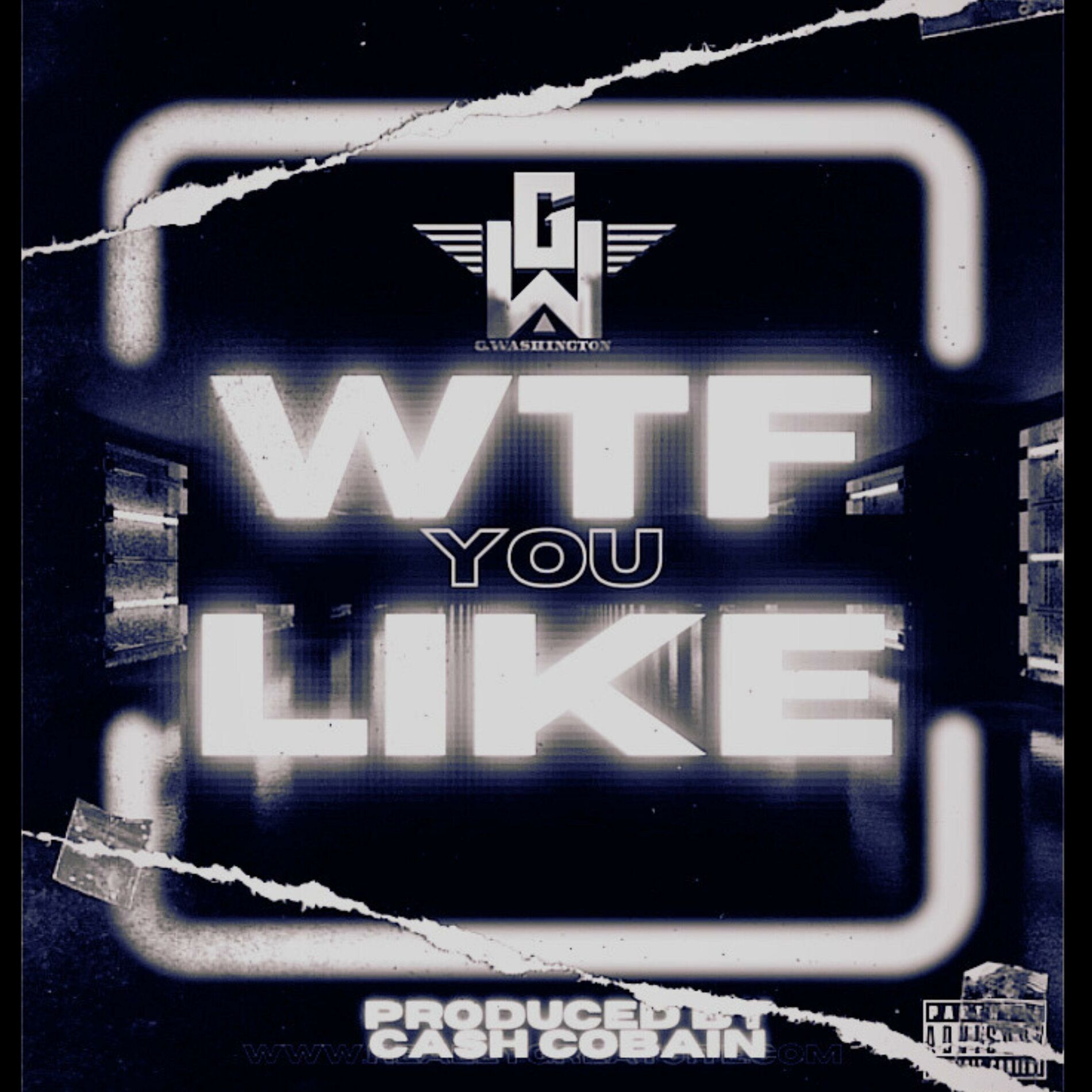 Album cover of WTF U Like