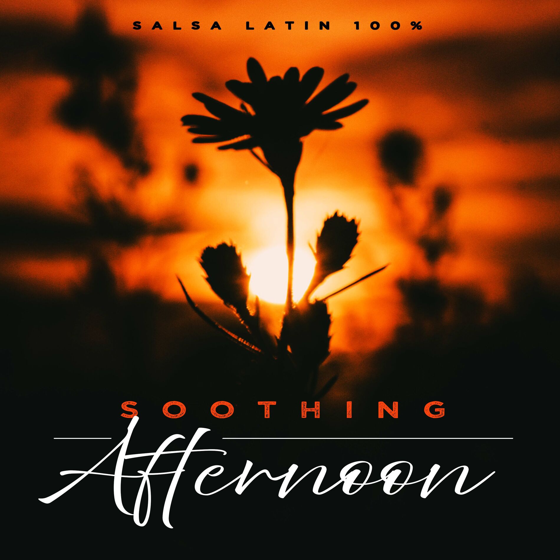 Album cover of Soothing Afternoon