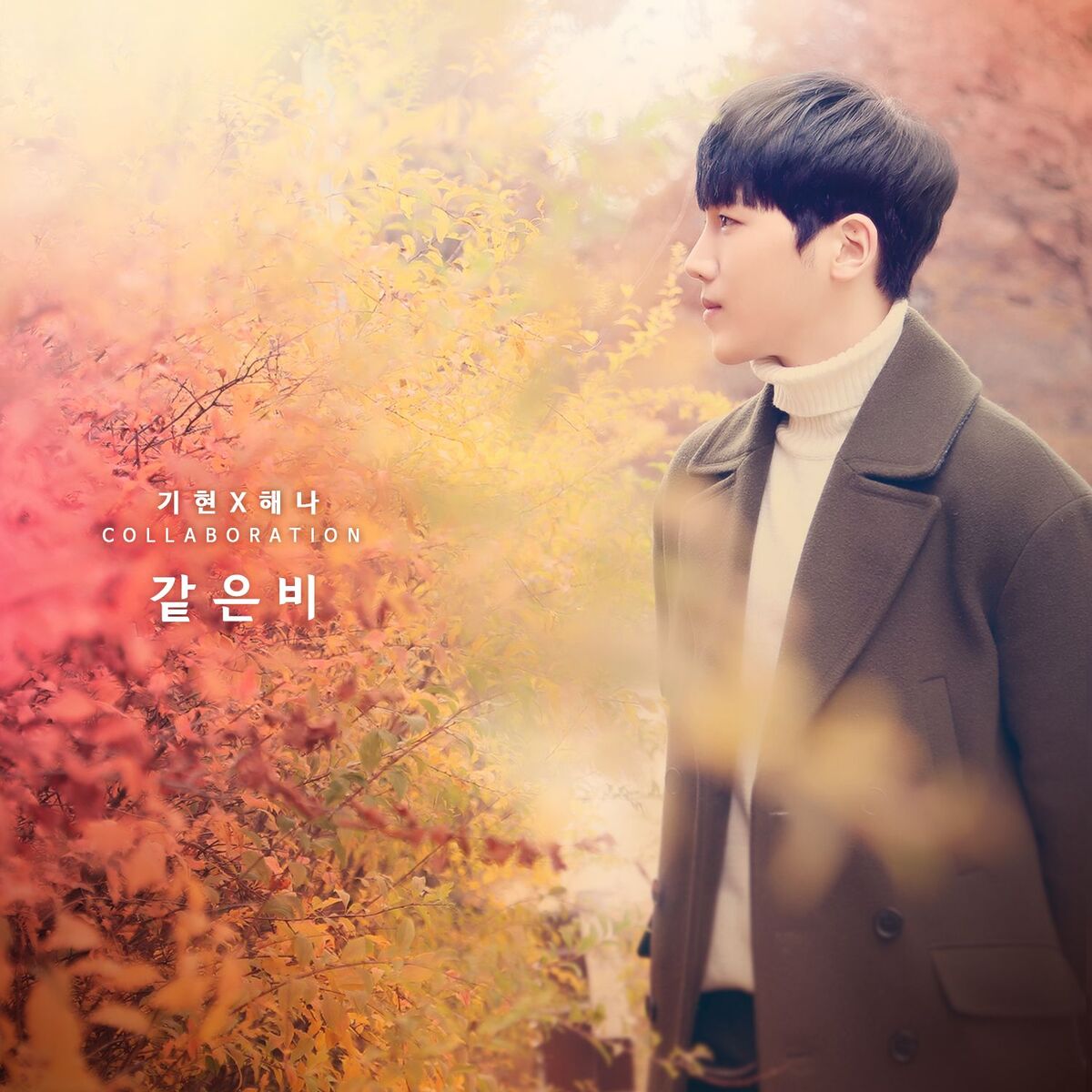 Album cover of The Same Rain