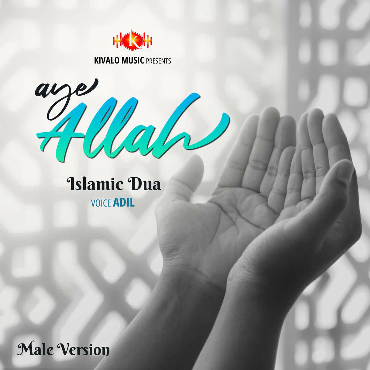 Album cover of Islamic Dua - Aye Allah Male Version