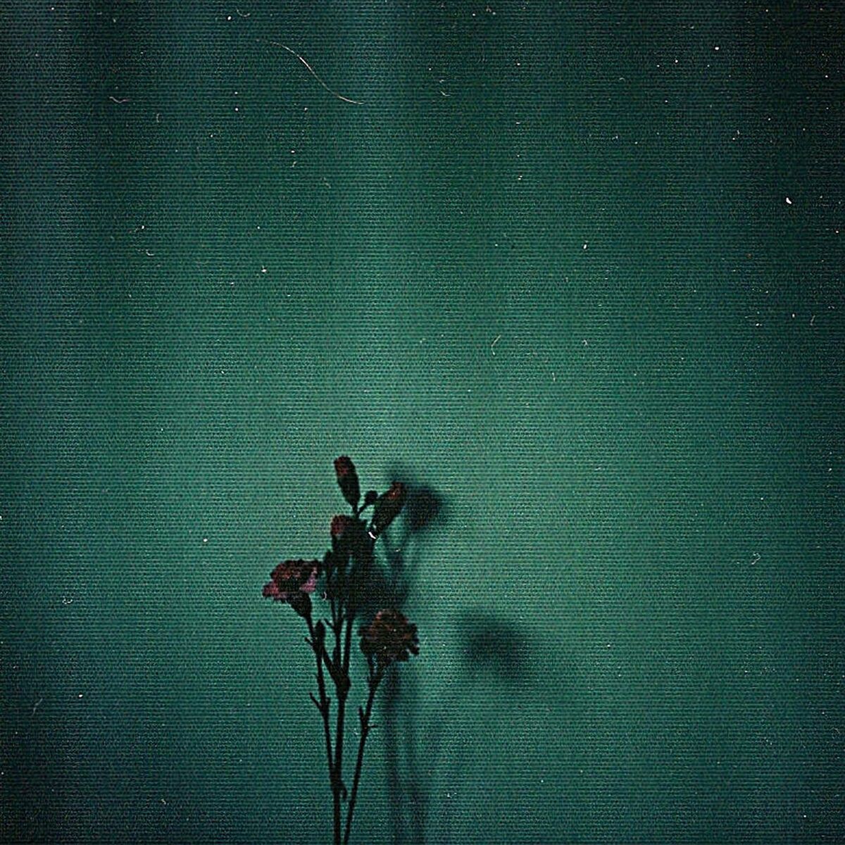 Album cover of Muted