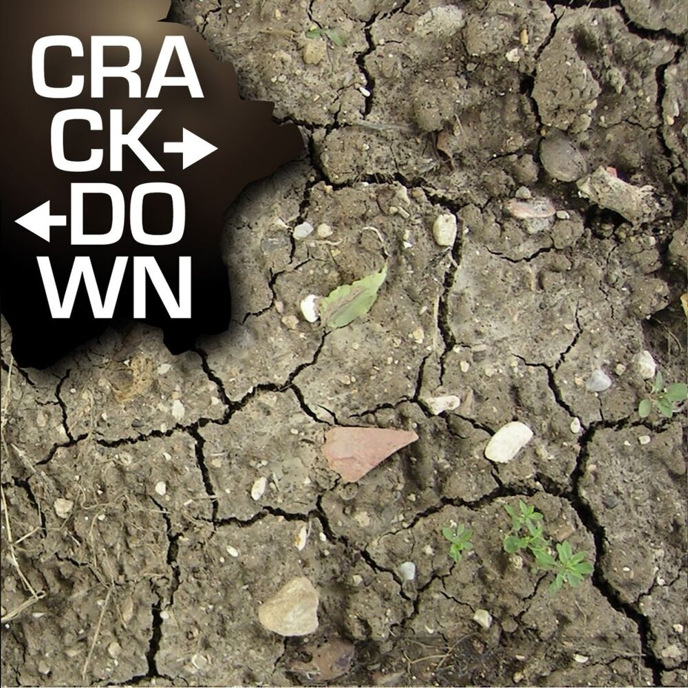 Picture of Crack Down