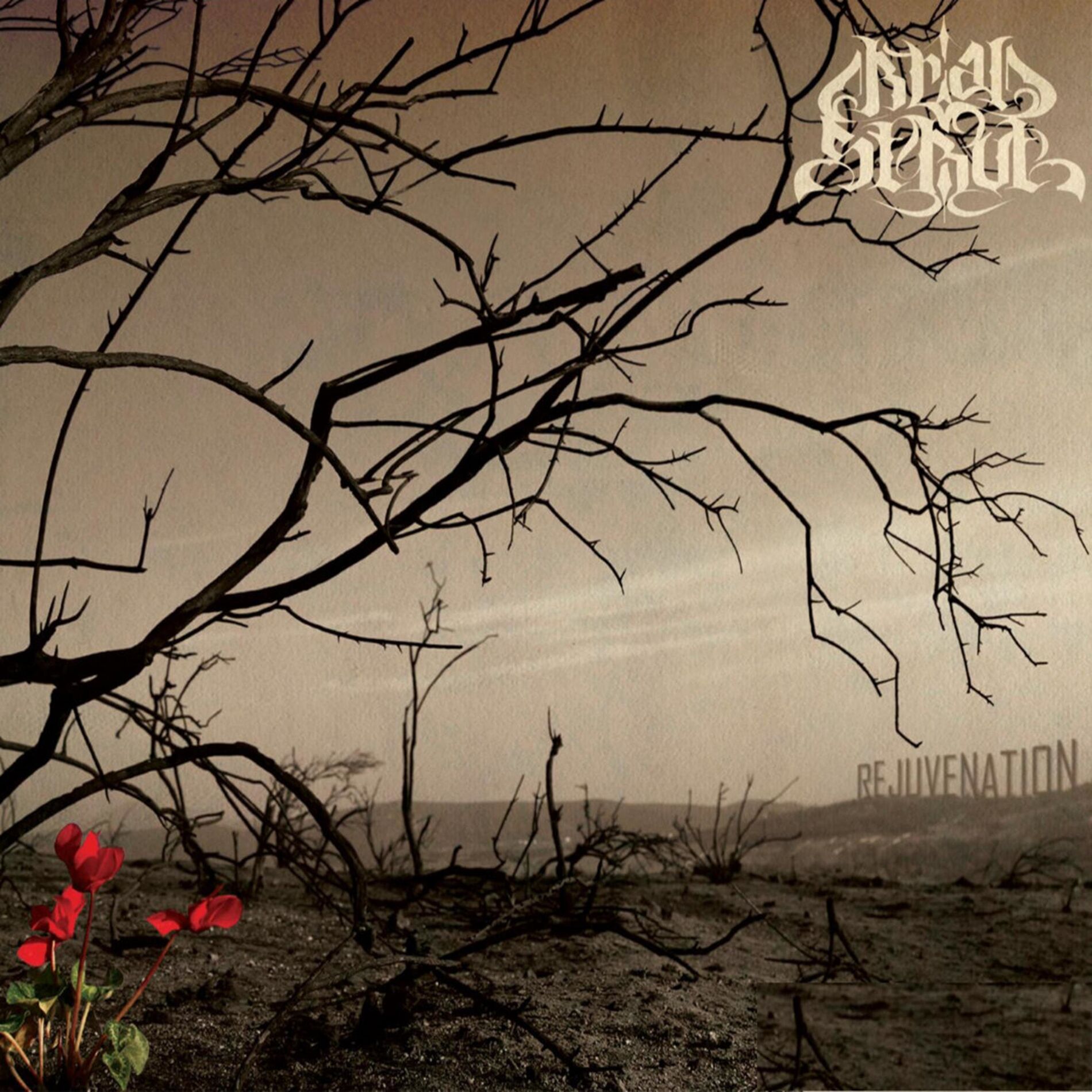 Album cover of Rejuvenation