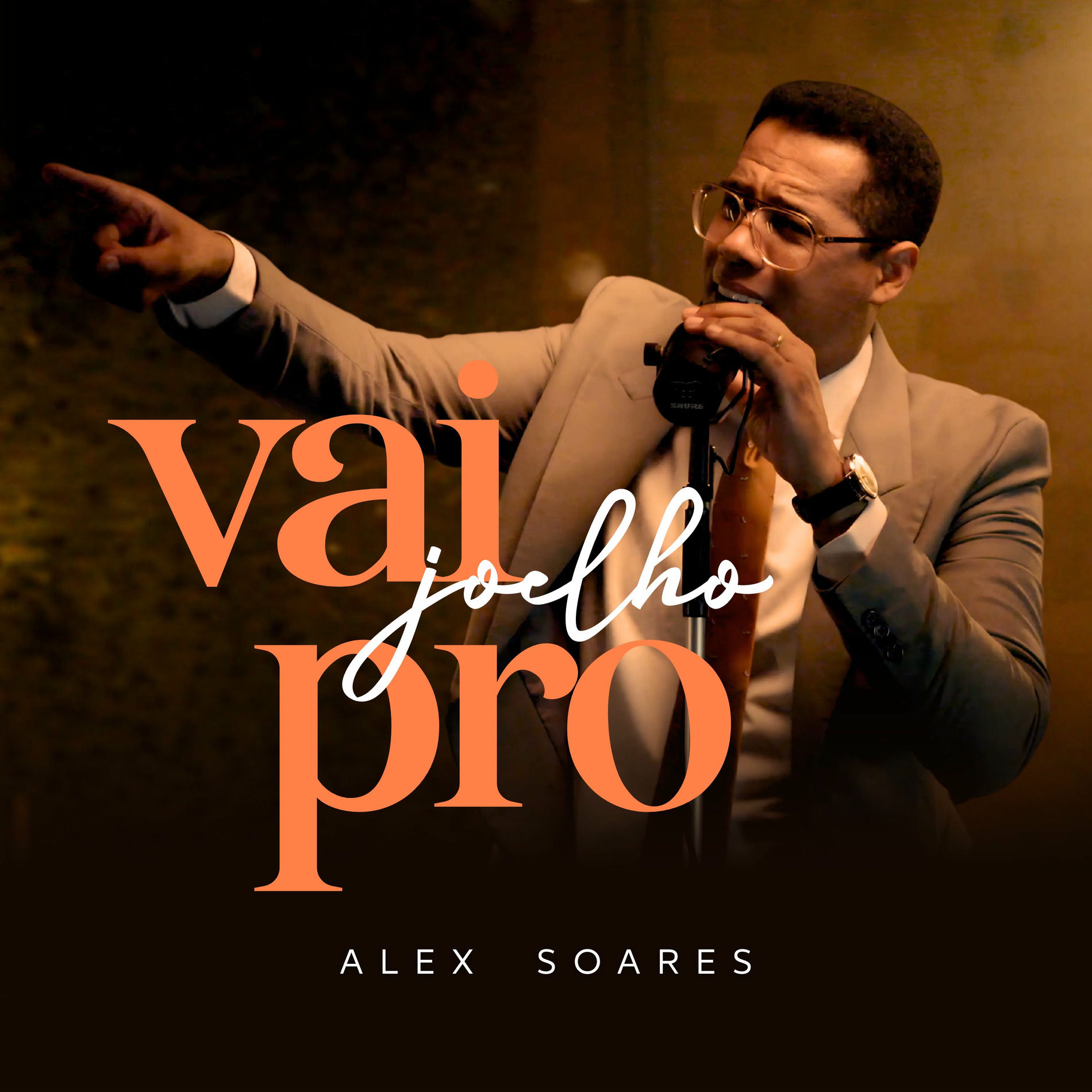 Album cover of Vai pro Joelho