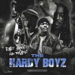 Cover of THE HARDY BOYZ