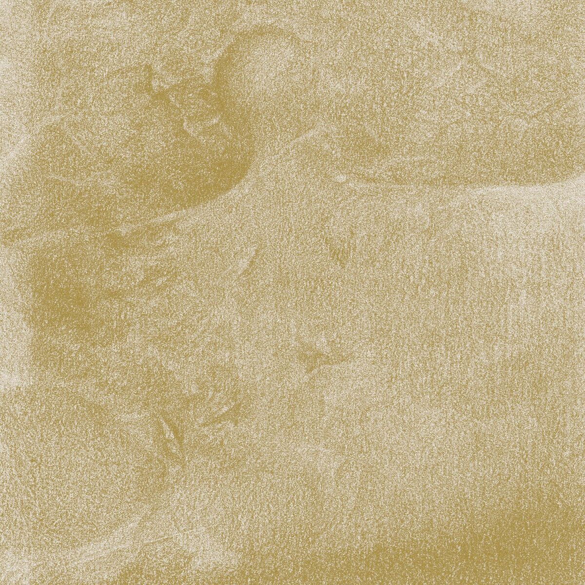 Album cover of Eidolon