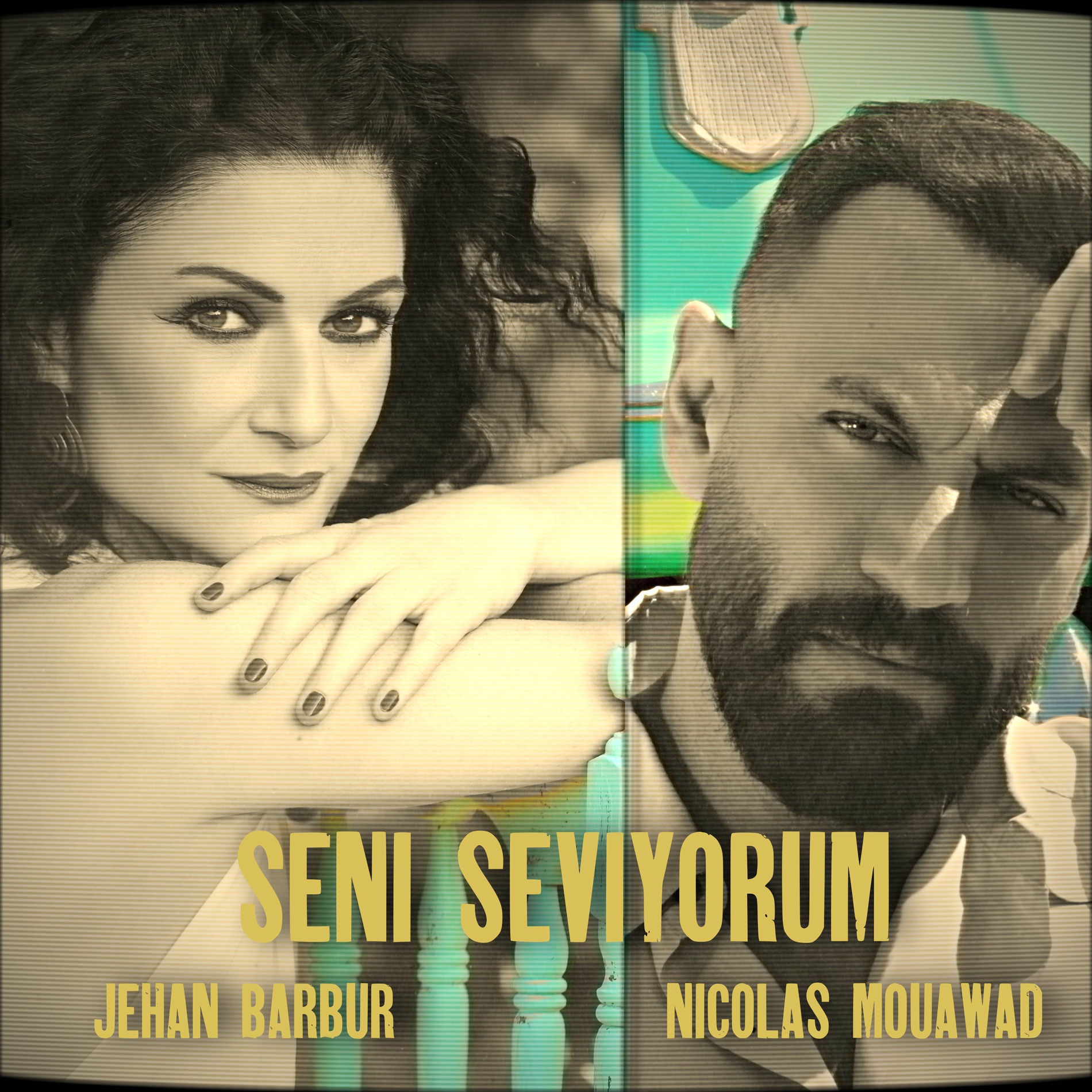 Album cover of Seni Seviyorum