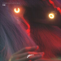 Cover of Fire