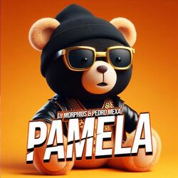 Cover of Pamela