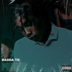Cover of Public