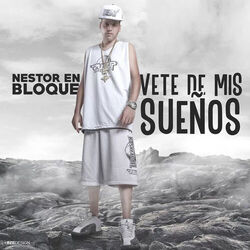 Cover of Vete de Mis Sueños