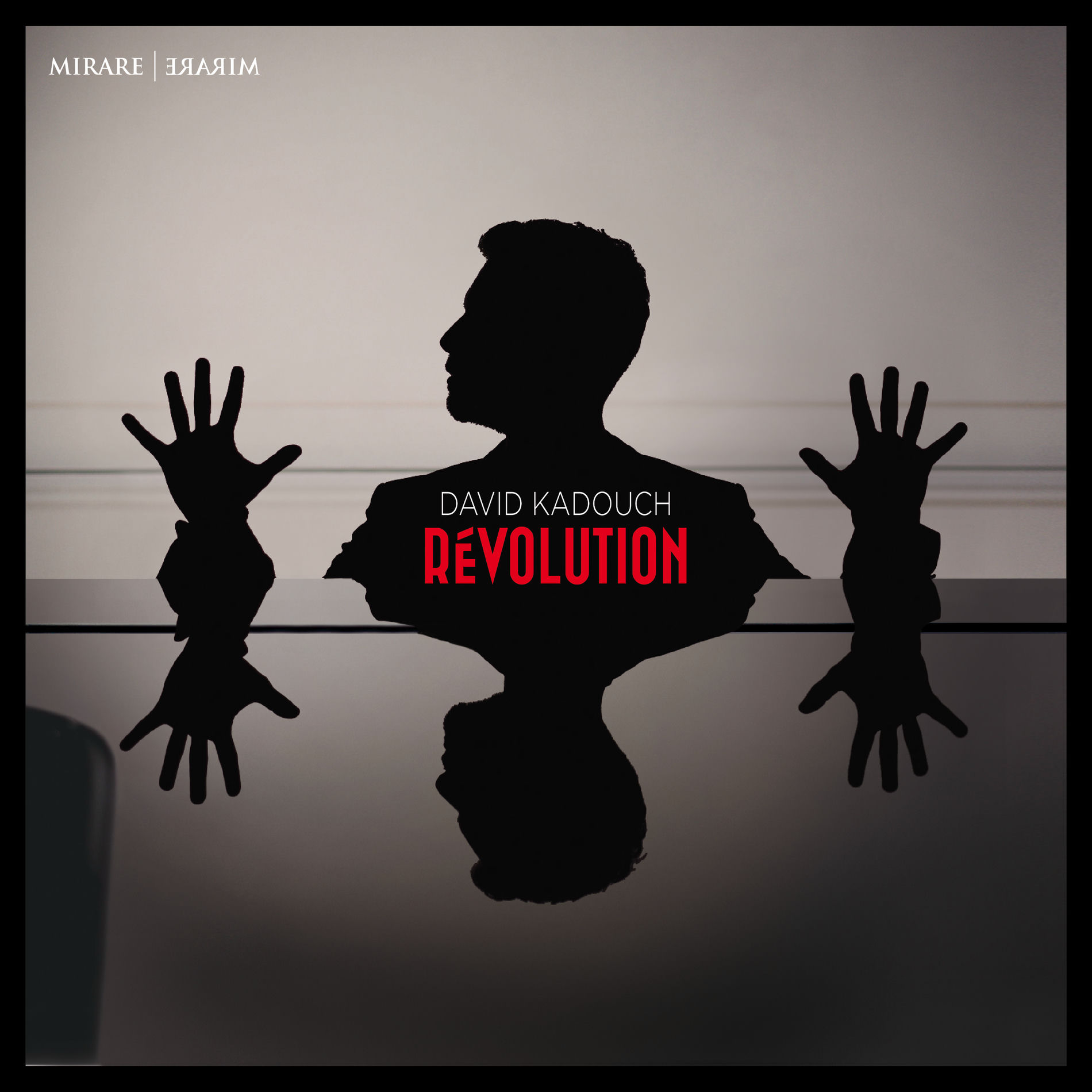 Album cover of Révolution