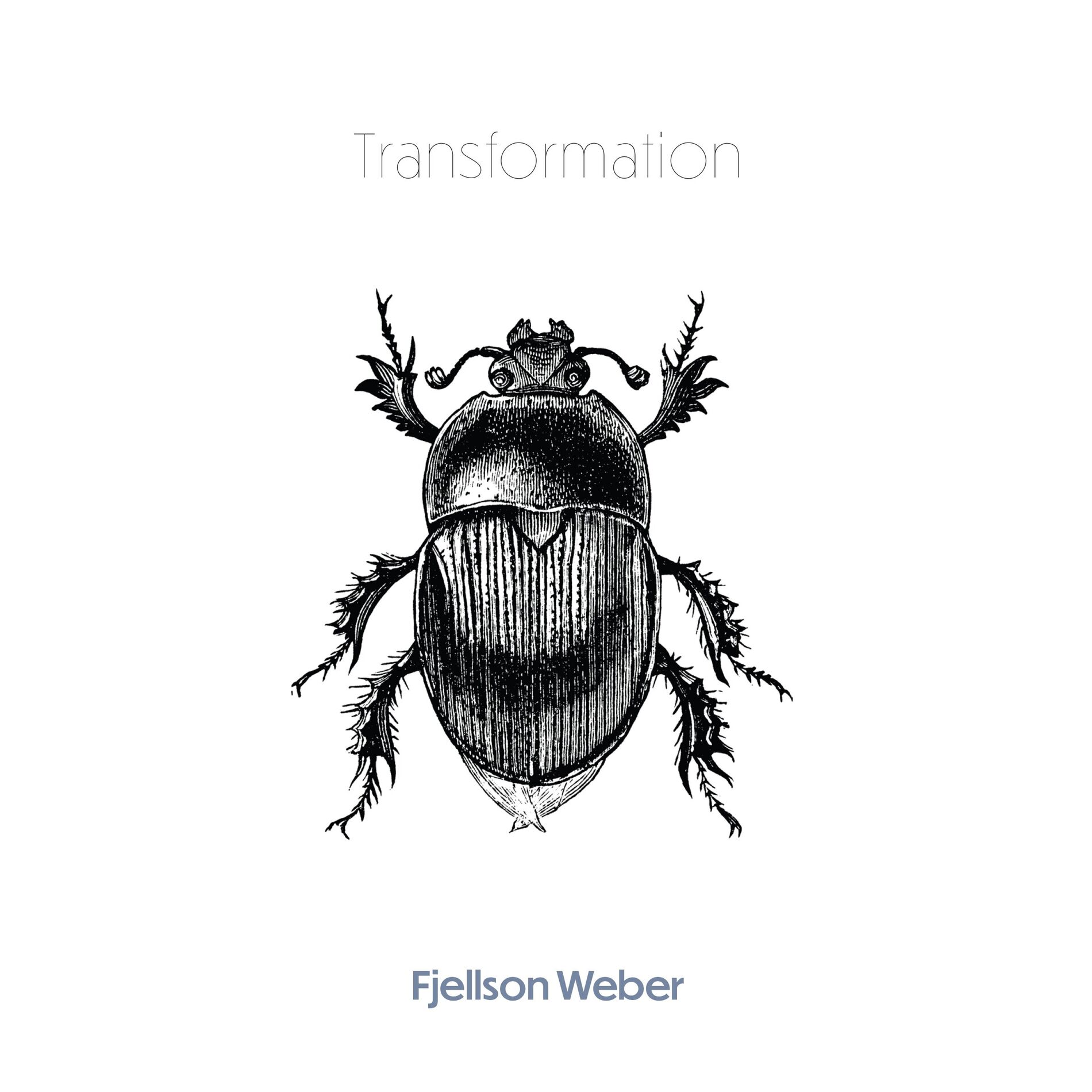 Album cover of Transformation