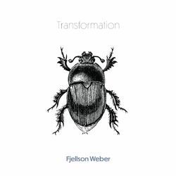 Cover of Transformation