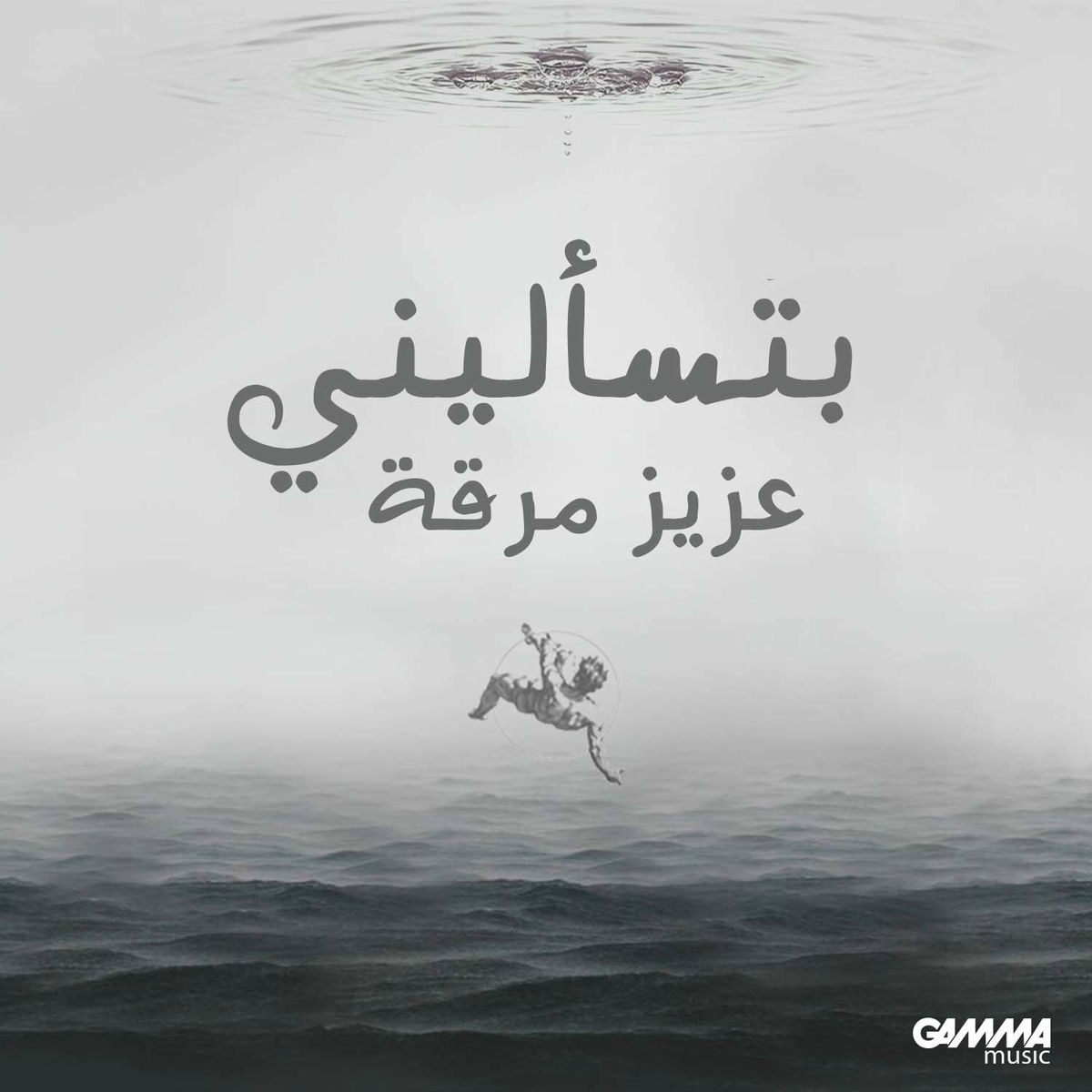 Album cover of Btes2aleeni