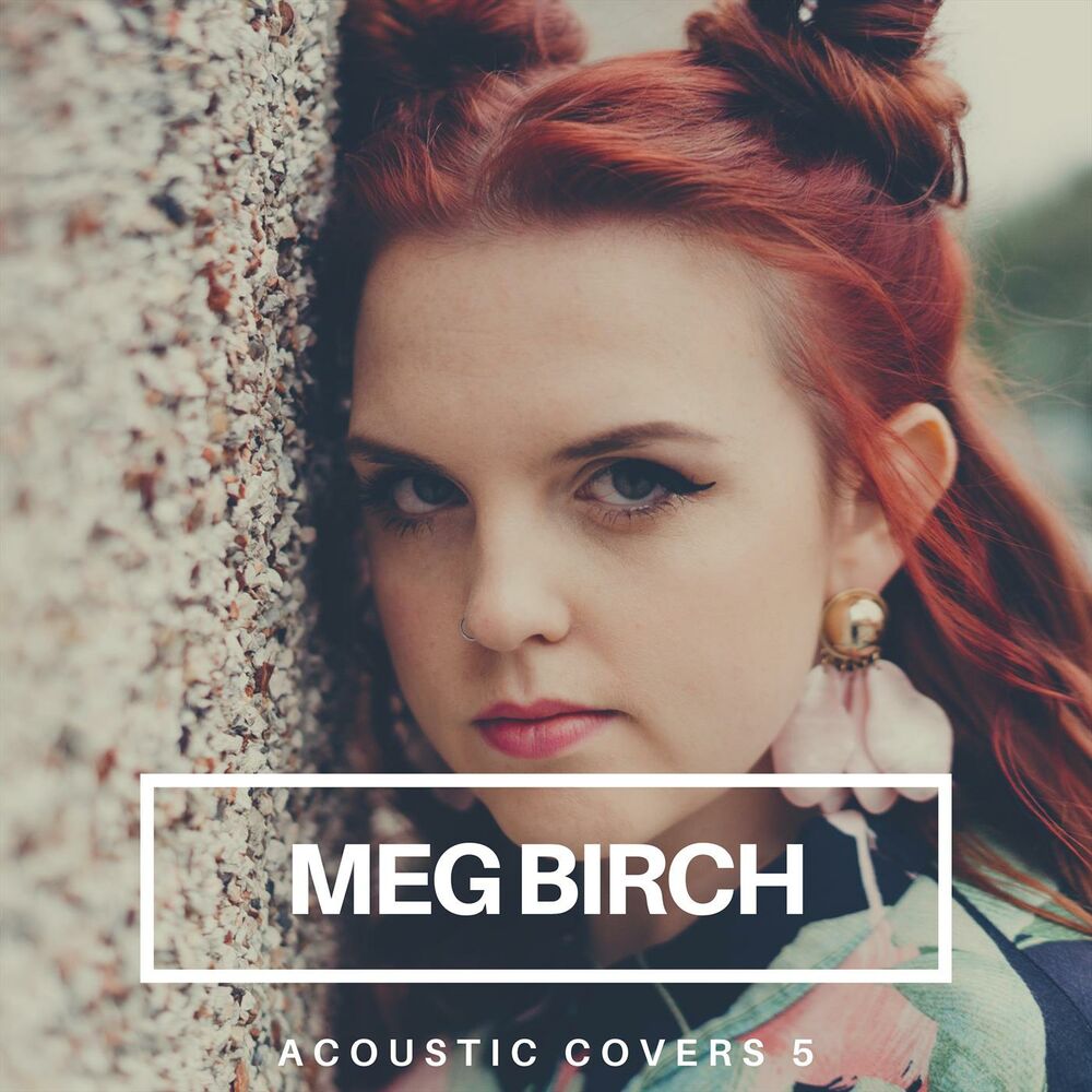 Picture of Acoustic Covers 5
