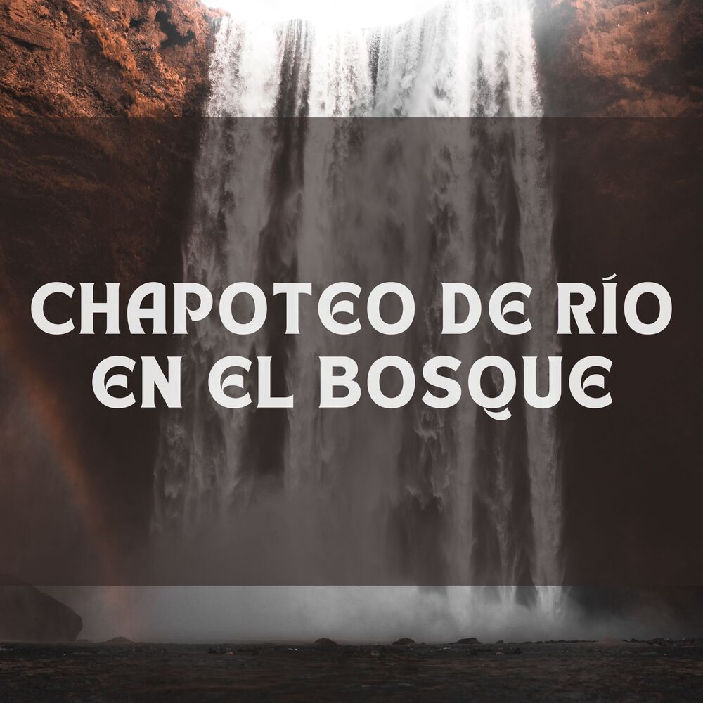 Picture of Chapoteo de río en el bosque