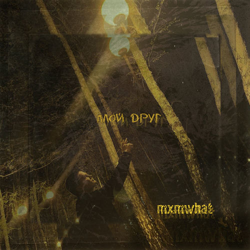 Мой друг