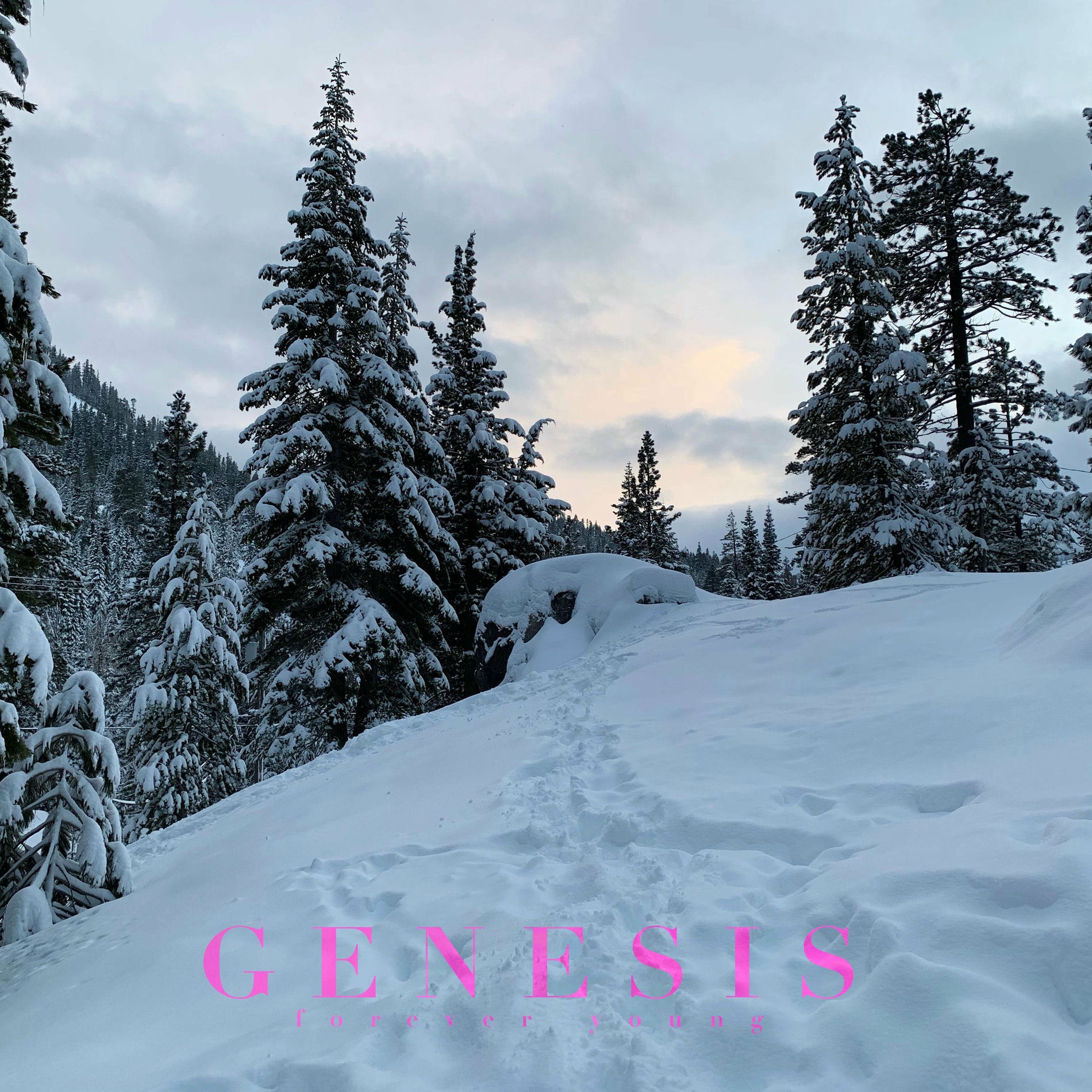 Album cover of Genesis