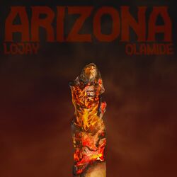 Cover of Arizona