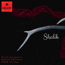 Cover of Shalik