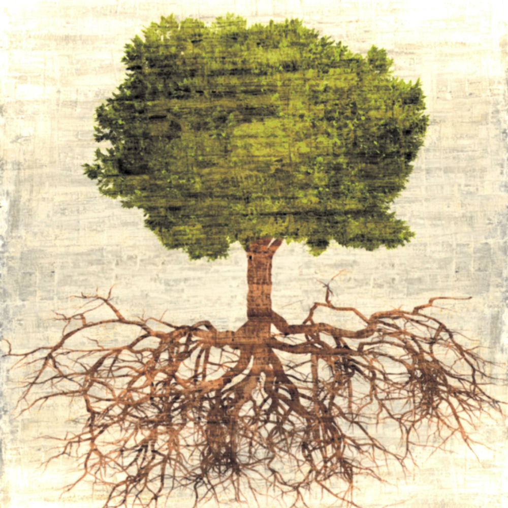 Album artwork for Enough by Requiem
