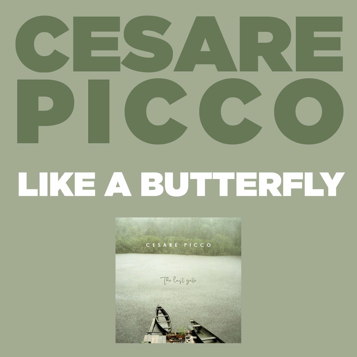 Album cover of Like A Butterfly