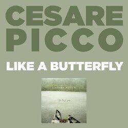 Cover of Like A Butterfly (Edit)