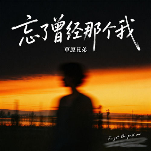 忘了曾经那个我