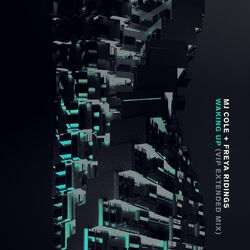 Cover of Waking Up (VIP Extended Mix)