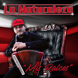 Cover of Mis Raices