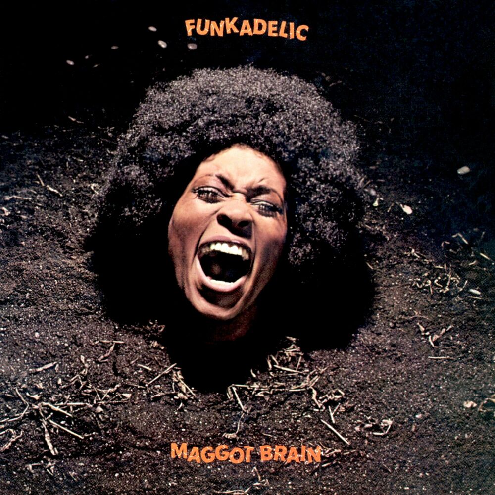 Picture of Maggot Brain