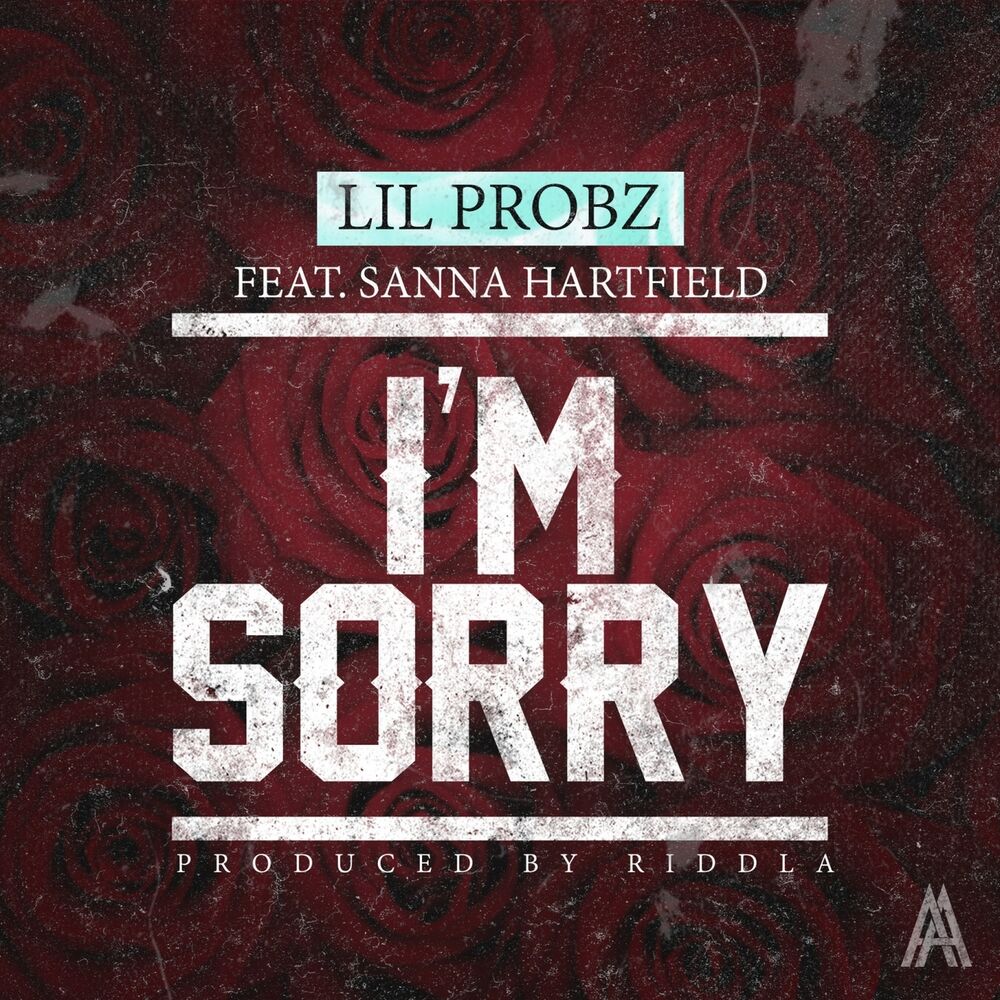 Picture of I'm Sorry