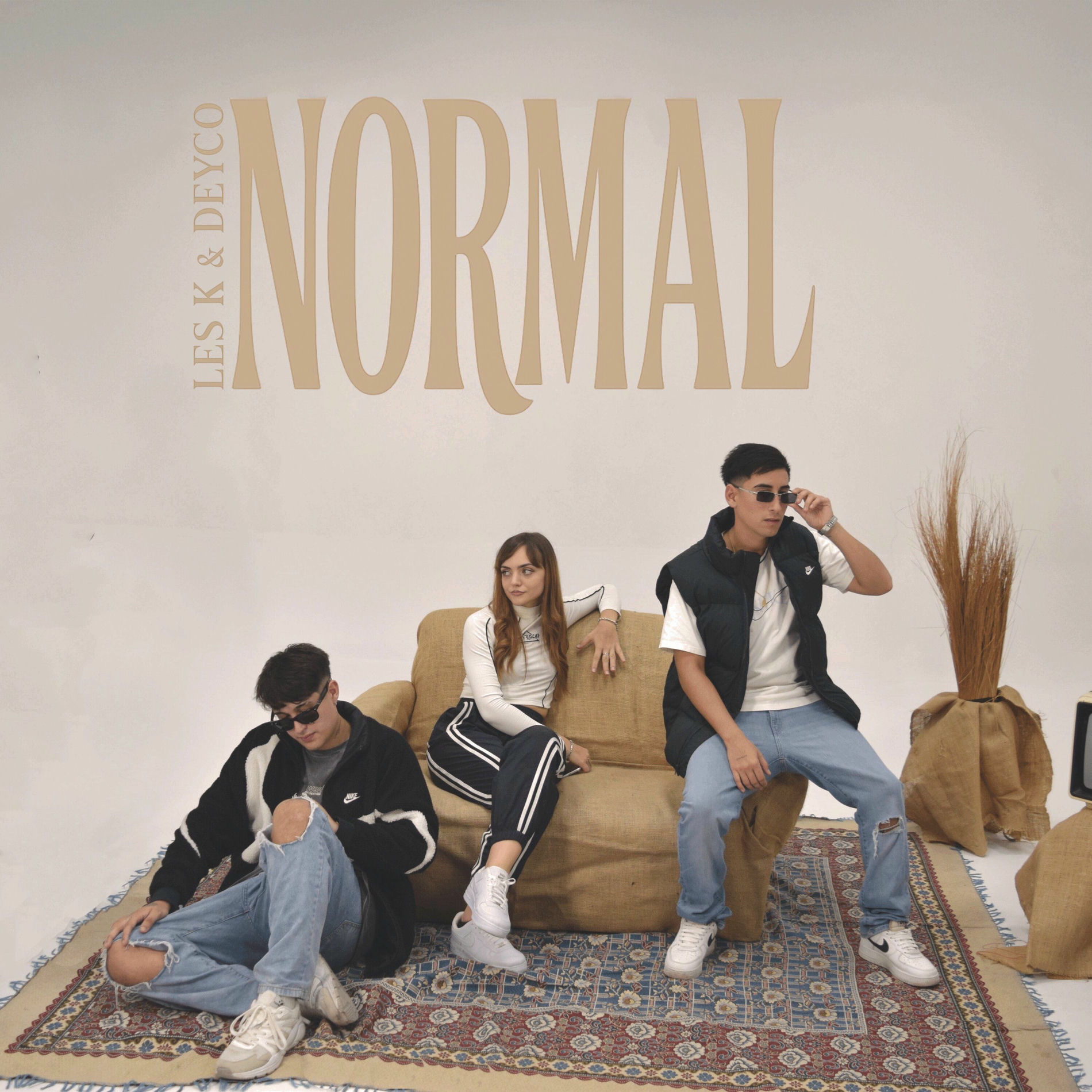 Album cover of Normal